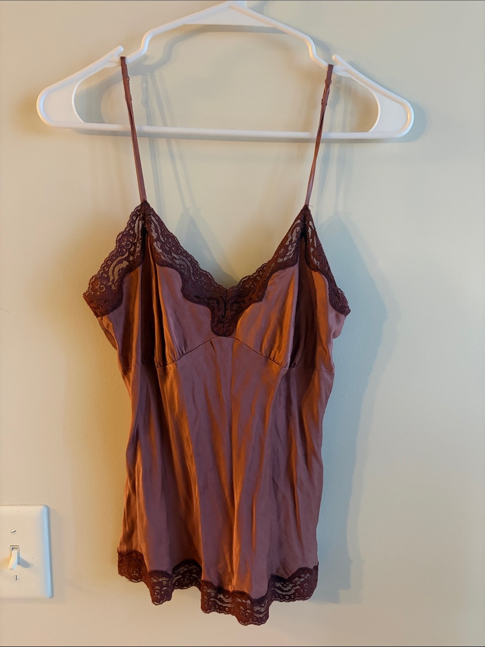 Abercrombie & Fitch Dusty Mauve Lace Trim Silk Camisole